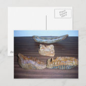 borsttanden slagpunt briefkaart (Voorkant / Achterkant)