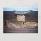 borsttanden slagpunt briefkaart (Voorkant)