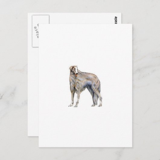 Borzoi Briefkaart (Voorkant / Achterkant)