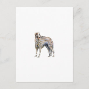 Borzoi Briefkaart