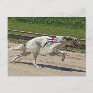 borzoi briefkaart