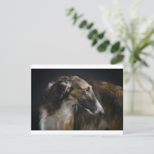 borzoi briefkaart (Staand voorkant)