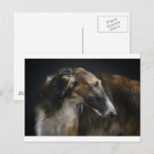 borzoi briefkaart (Voorkant / Achterkant)