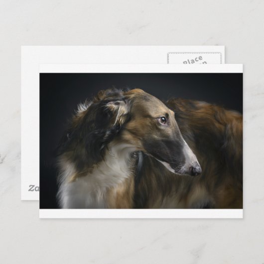 borzoi briefkaart (Voorkant / Achterkant)