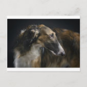 borzoi briefkaart (Voorkant)