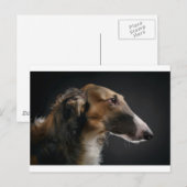 borzoi briefkaart (Voorkant / Achterkant)