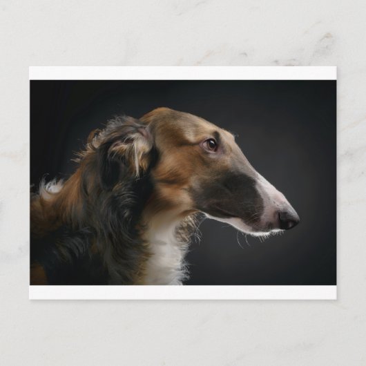 borzoi briefkaart (Voorkant)