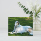 "Borzoi" Dog Photography Briefkaart (Staand voorkant)
