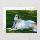"Borzoi" Dog Photography Briefkaart (Voorkant / Achterkant)