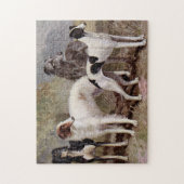 Borzoi en Sighthound Legpuzzel (Verticaal)