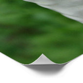 Borzoi Figurine Poster (Hoek)