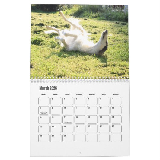 Borzoi hondenkalender kalender (Mar 2026)