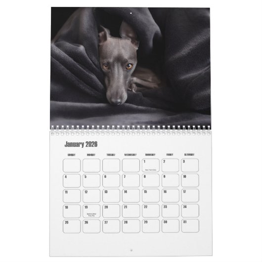 Borzoi hondenkalender kalender (Jan 2026)