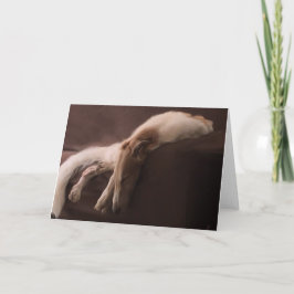 Borzoi in ruststand aankondiging