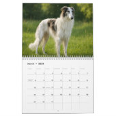 Borzoi kalender 2026 (Mar 2026)