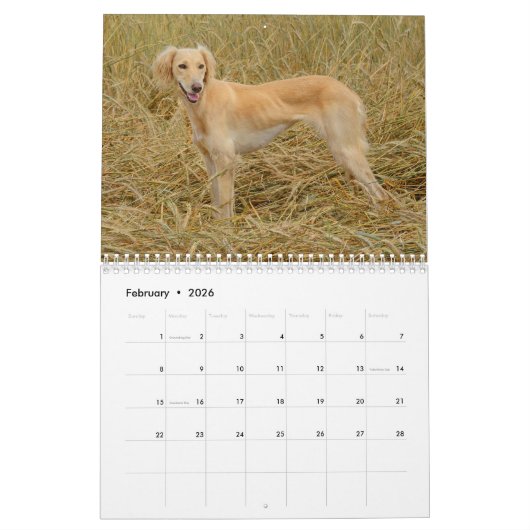 Borzoi kalender 2026 (Feb 2026)