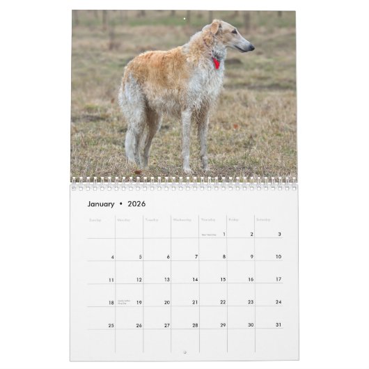 Borzoi kalender 2026 (Jan 2026)
