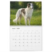 Borzoi kalender 2026 (Mar 2027)