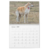 Borzoi kalender 2026 (Jan 2027)