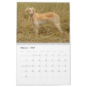 Borzoi kalender 2026 (Feb 2027)