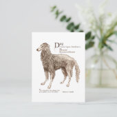 Borzoi - noten briefkaart (Staand voorkant)