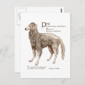 Borzoi - noten briefkaart (Voorkant / Achterkant)