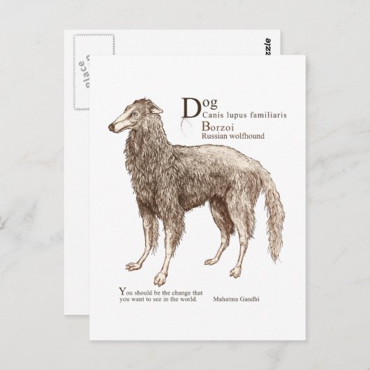 Borzoi - noten briefkaart (Voorkant / Achterkant)