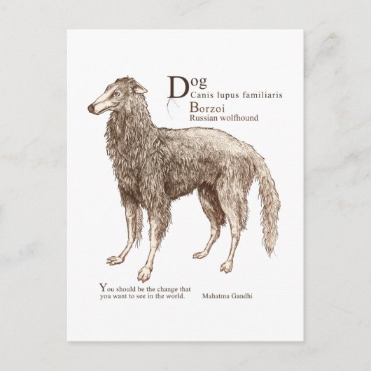 Borzoi - noten briefkaart (Voorkant)