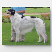 Borzoi Portret Fotoplaat (Voorkant)