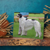 Borzoi Portret Fotoplaat (Zijkant)