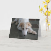 Borzoi Puppy Dog Fotografie Wenskaart Kaart (Gele Bloem)