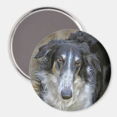 Borzoi Reddingshond Magneet (Voorkant / Achterkant)