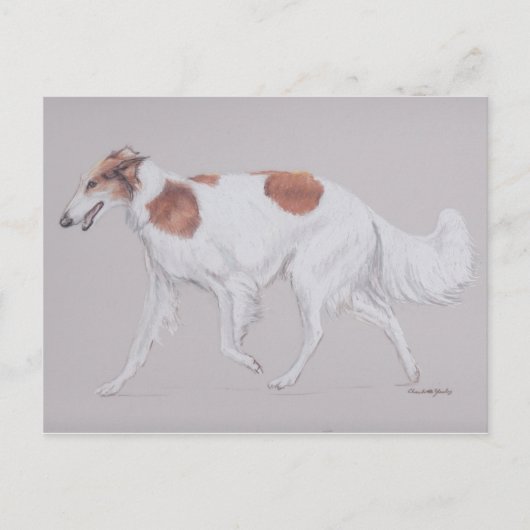 Borzoi Russia Wolfhound Canine Dog Art Briefkaart (Voorkant)