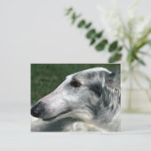 Borzoi, Russische Wolfhound Briefkaart (Staand voorkant)