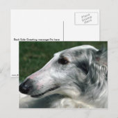 Borzoi, Russische Wolfhound Briefkaart (Voorkant / Achterkant)