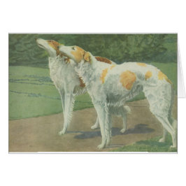 Borzoi (Russische wolfshond)