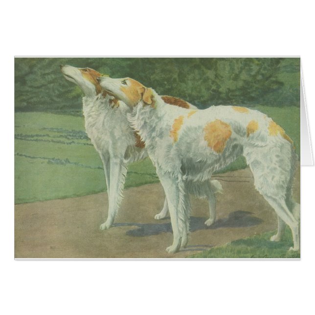 Borzoi (Russische wolfshond) (Voorkant Horizontaal)
