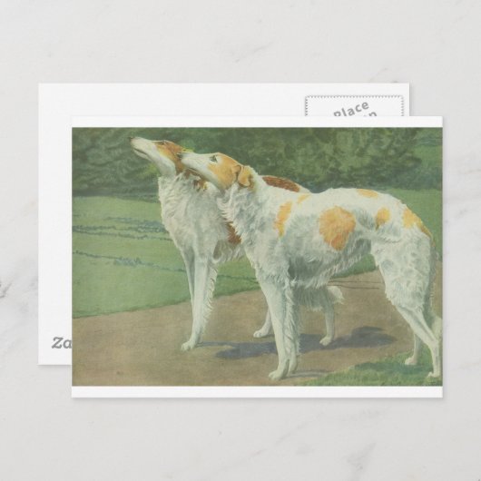 Borzoi (Russische wolfshond) Briefkaart (Voorkant / Achterkant)