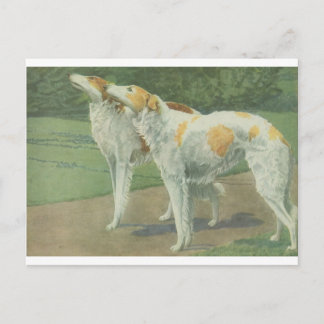 Borzoi (Russische wolfshond) Briefkaart