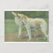 Borzoi (Russische wolfshond) Briefkaart (Voorkant)