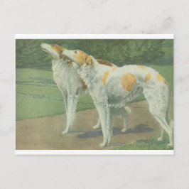 Borzoi (Russische wolfshond) Briefkaart