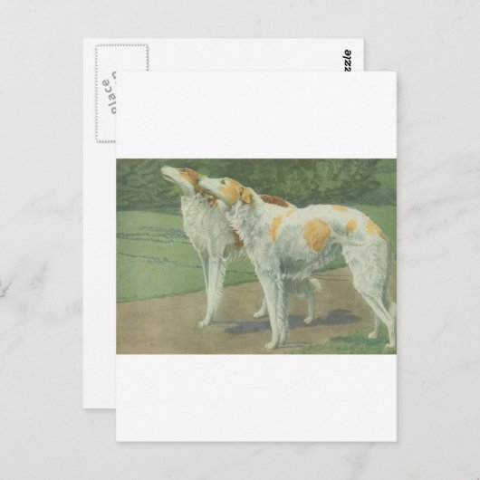 Borzoi (Russische wolfshond) Briefkaart (Voorkant / Achterkant)