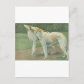 Borzoi (Russische wolfshond) Briefkaart (Voorkant)