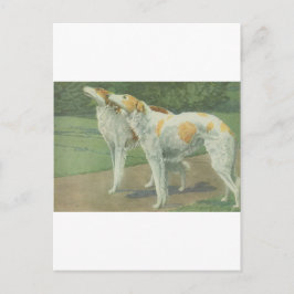 Borzoi (Russische wolfshond) Briefkaart