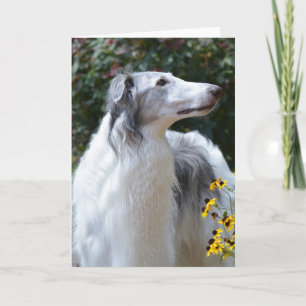 Borzoi Russische Wolfshond Dog Art Fotokaart Kaart