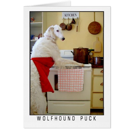Borzoi Russische Wolfshond "Wolfshond Puck" Hond (Voorkant)