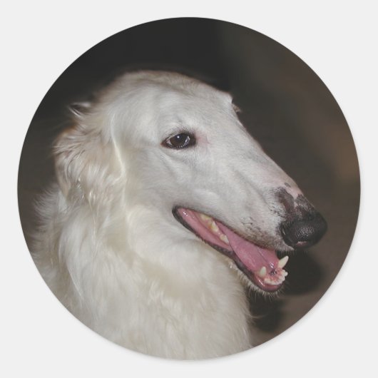 Borzoi Stickers (Voorkant)