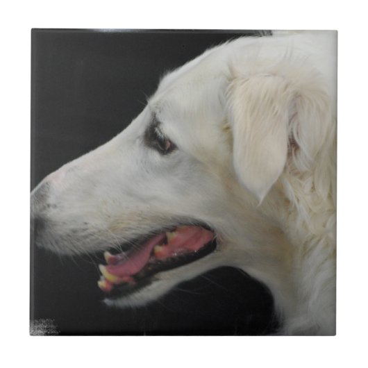 Borzoi Tile Tegeltje (Voorkant)