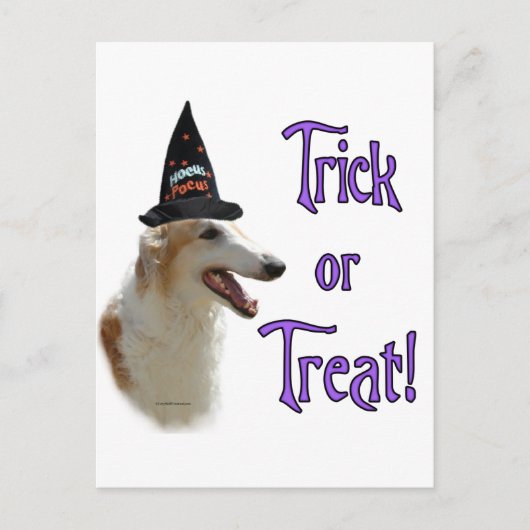 Borzoi Trick Briefkaart (Voorkant)