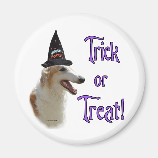 Borzoi Trick Magneet (Voorkant)